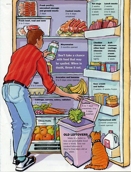 fridge cleanout clipart - photo #23
